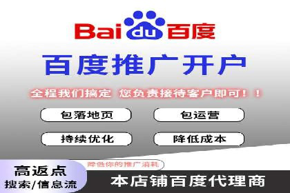 百度SEO推广公司案例分析：成功案例解析